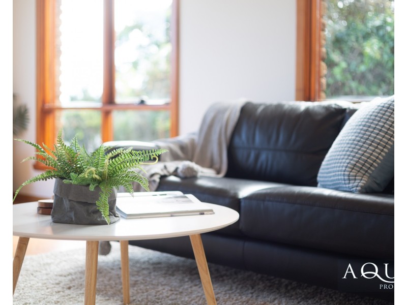 20 Reece Street, George Town TAS 7253