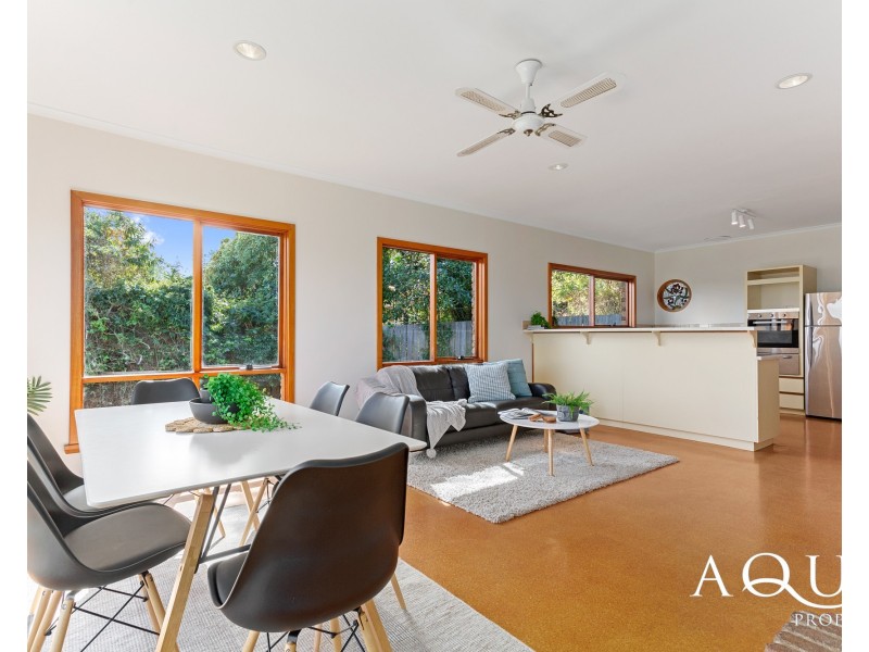 20 Reece Street, George Town TAS 7253