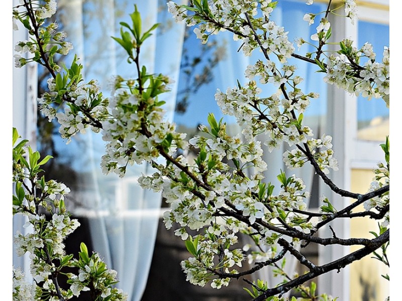 23 Davies Street, Weymouth TAS 7252