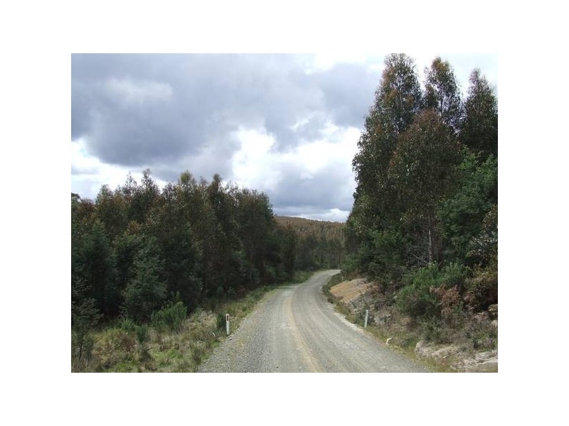 443 North Lilydale Road, Lilydale TAS 7268