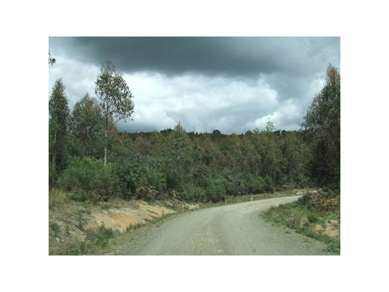 443 North Lilydale Road, Lilydale TAS 7268