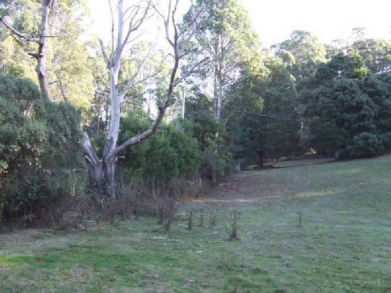 1481 Golconda Road, Wyena TAS 7254