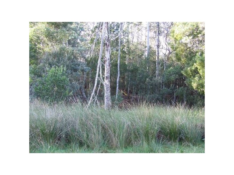 1481 Golconda Road, Wyena TAS 7254