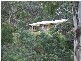 Denmans Road, Flowery Gully TAS 7270