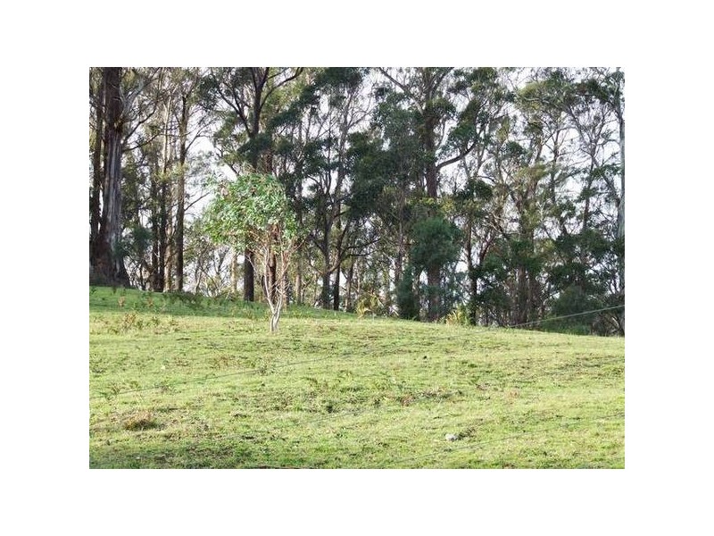 Denmans Road, Flowery Gully TAS 7270