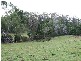 Denmans Road, Flowery Gully TAS 7270