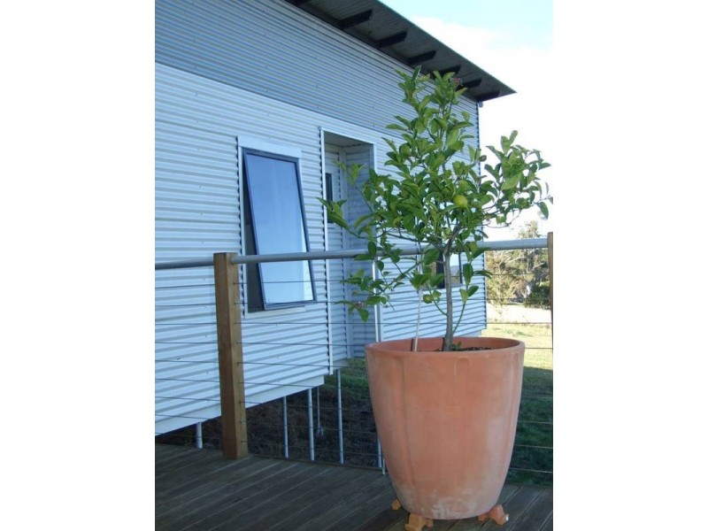 43 Burton Street, Hillwood TAS 7252