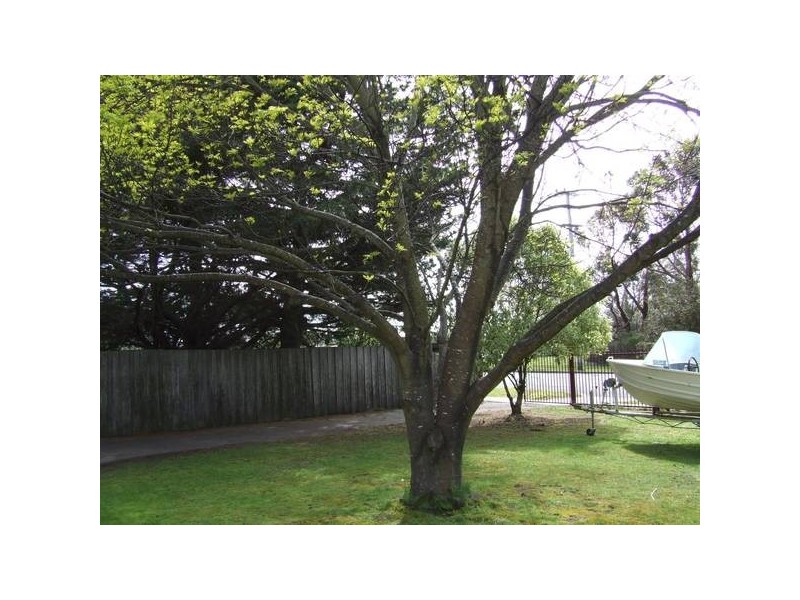 31 Elizabeth Street, George Town TAS 7253