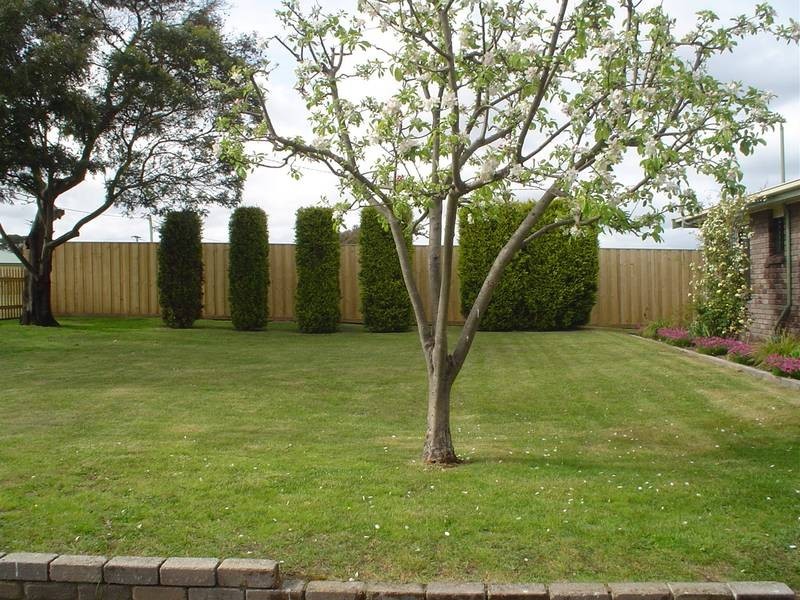 139 Friend Street, George Town TAS 7253