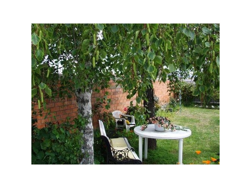 33 Adelaide Street, George Town TAS 7253