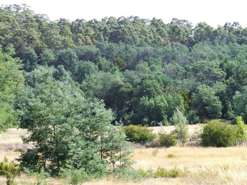 Lot 2, 35 Weld Street, Beaconsfield TAS 7270