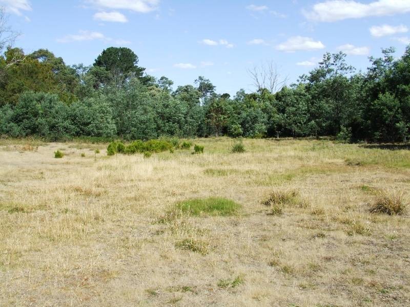 Lot 2, 35 Weld Street, Beaconsfield TAS 7270