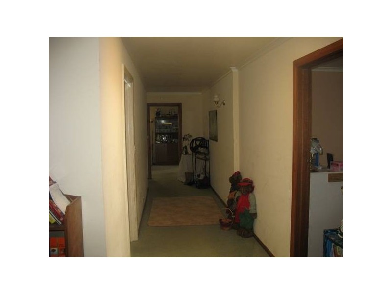 908 Golconda Road, Lebrina TAS 7254