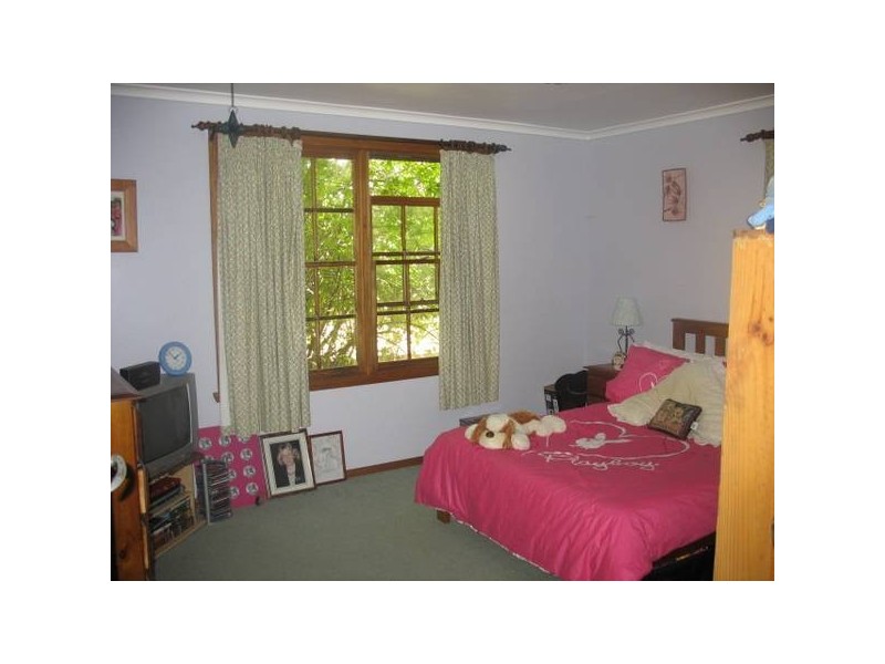 908 Golconda Road, Lebrina TAS 7254