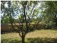 908 Golconda Road, Lebrina TAS 7254