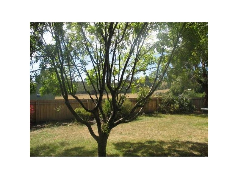 908 Golconda Road, Lebrina TAS 7254
