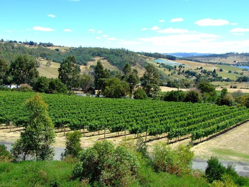 1/1A Waldhorn Drive, Rosevears TAS 7277