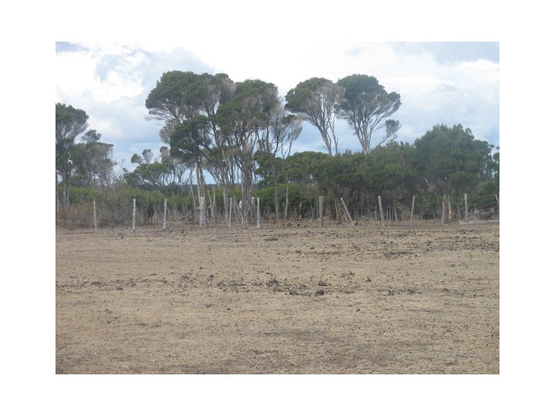 North Street, George Town TAS 7253