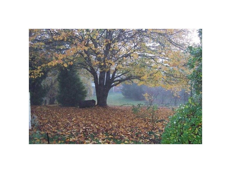 62 Everest Road, Exeter TAS 7275