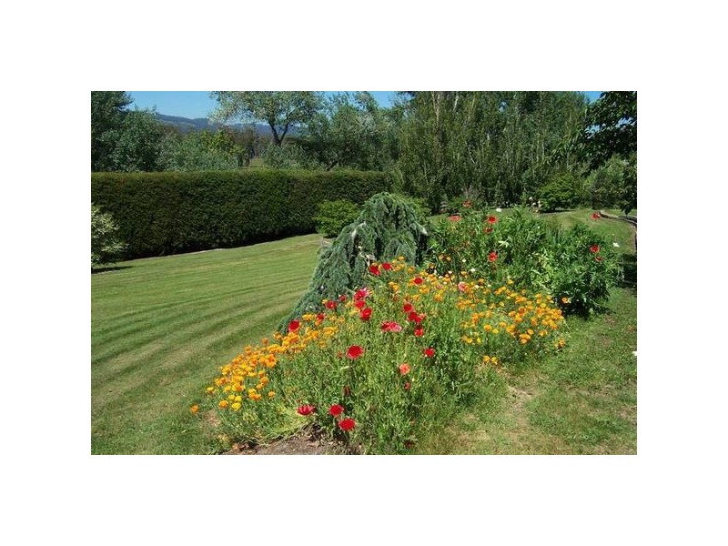 62 Everest Road, Exeter TAS 7275