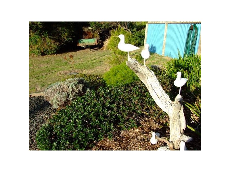 133-135 Bell Buoy Beach Road, Low Head TAS 7253
