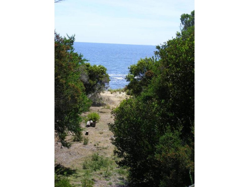20 Seascape Drive, Lulworth TAS 7252