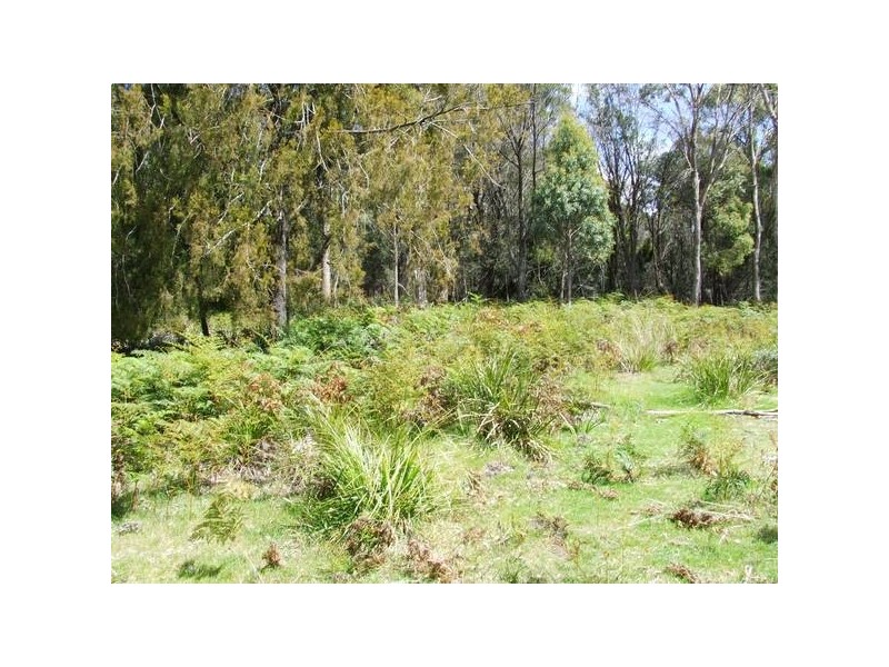 7 Hope Street, Lefroy TAS 7252