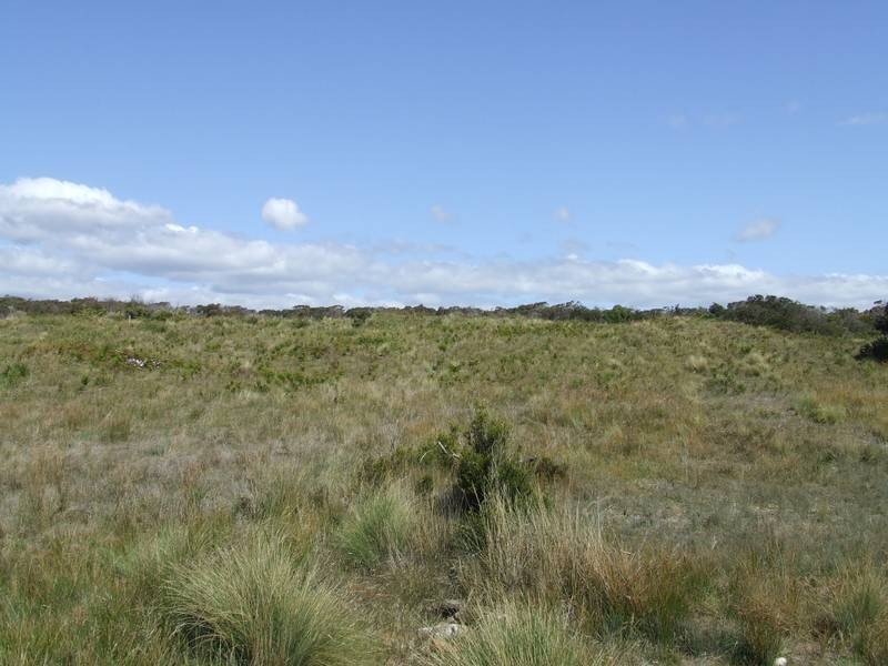 119 BellBuoy Beach Road, Low Head TAS 7253