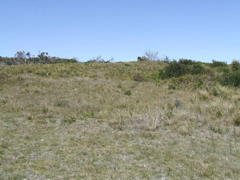 113 BellBuoy Beach Road, Low Head TAS 7253