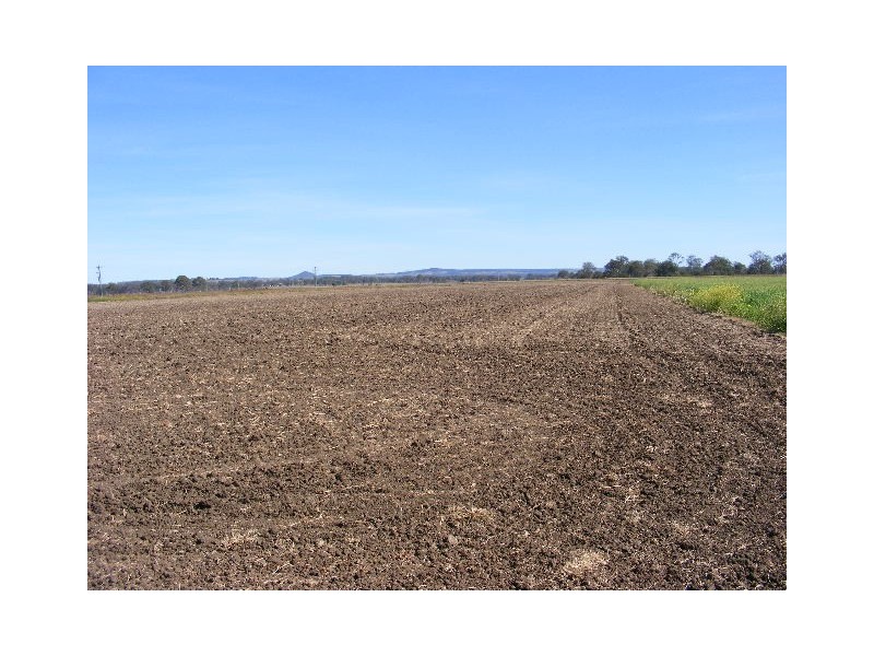 466 Wheatlands Loop Road, Wheatlands QLD 4606