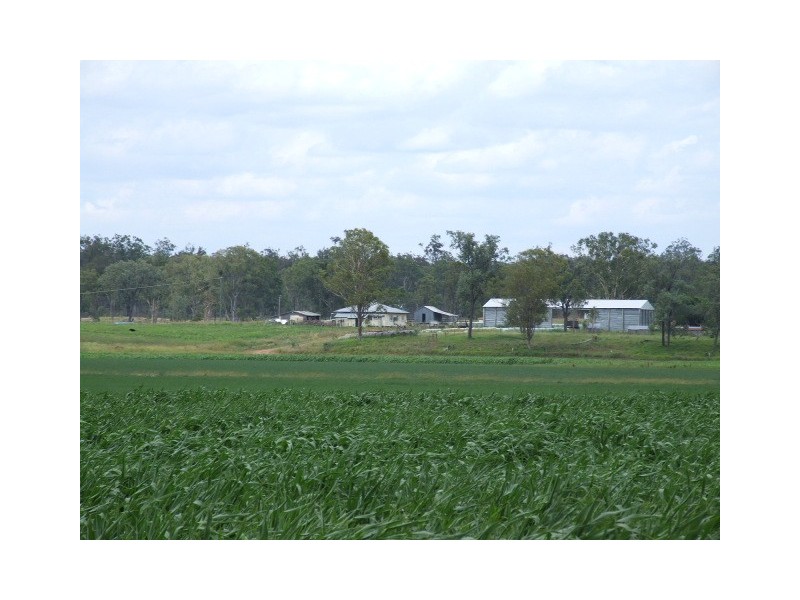 389 Bicks Road, Silverleaf QLD 4605