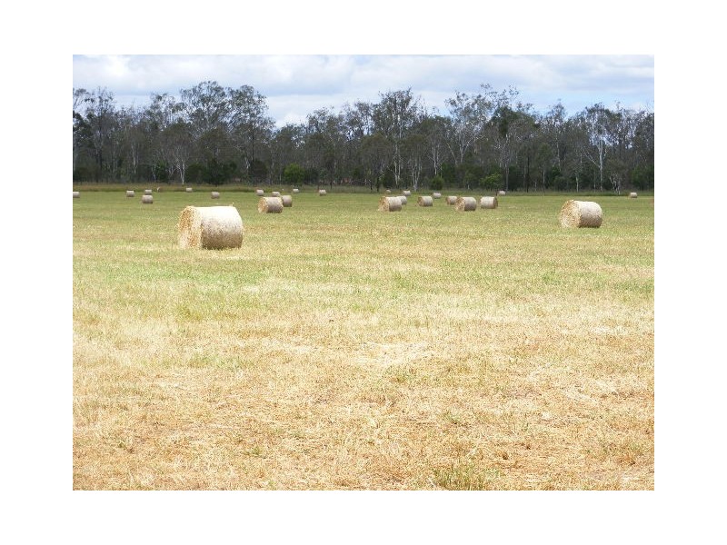 389 Bicks Road, Silverleaf QLD 4605