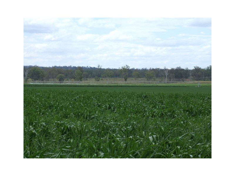 389 Bicks Road, Silverleaf QLD 4605