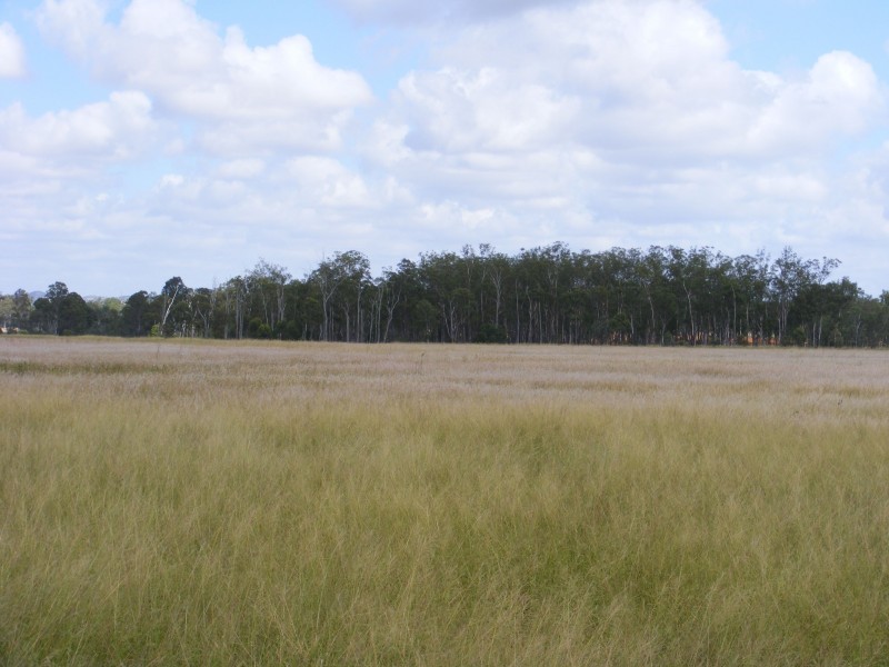 Lot 2 Wheatlands Loop Road, Wheatlands QLD 4606