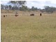 122 Goschnicks Road, Redgate QLD 4605