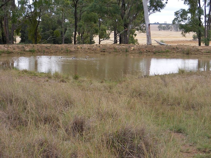 41 Lower Red Hill Road, Wondai QLD 4606