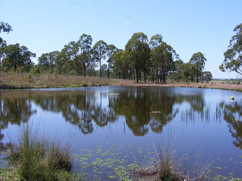207 Brand Road, Wooroonden QLD 4605