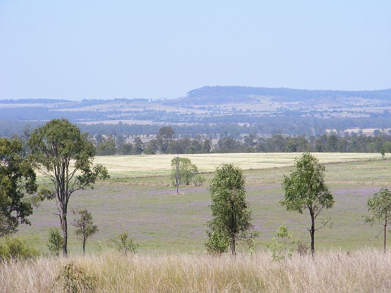 207 Brand Road, Wooroonden QLD 4605