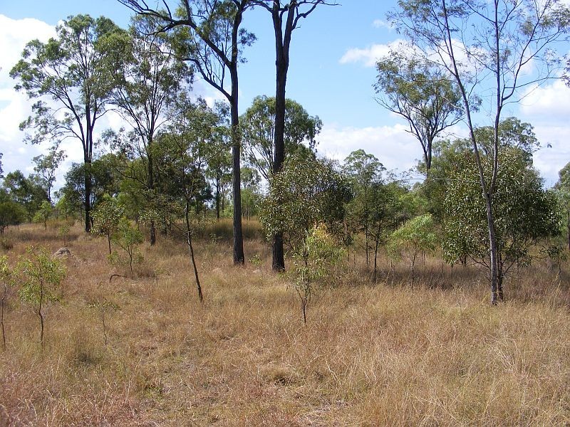 0 Simpsons Road, Wondai QLD 4606