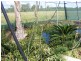 Lot 27 Burrow Street, Wondai QLD 4606