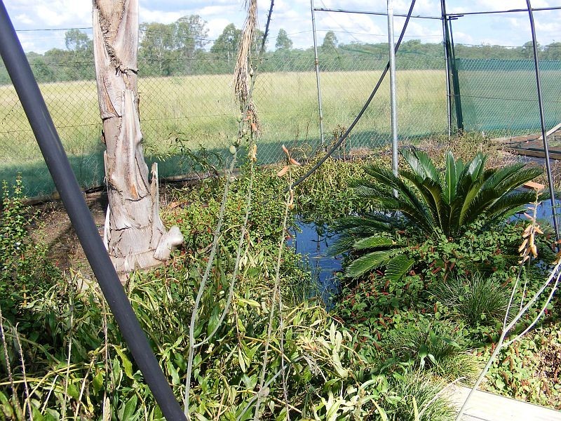 Lot 27 Burrow Street, Wondai QLD 4606