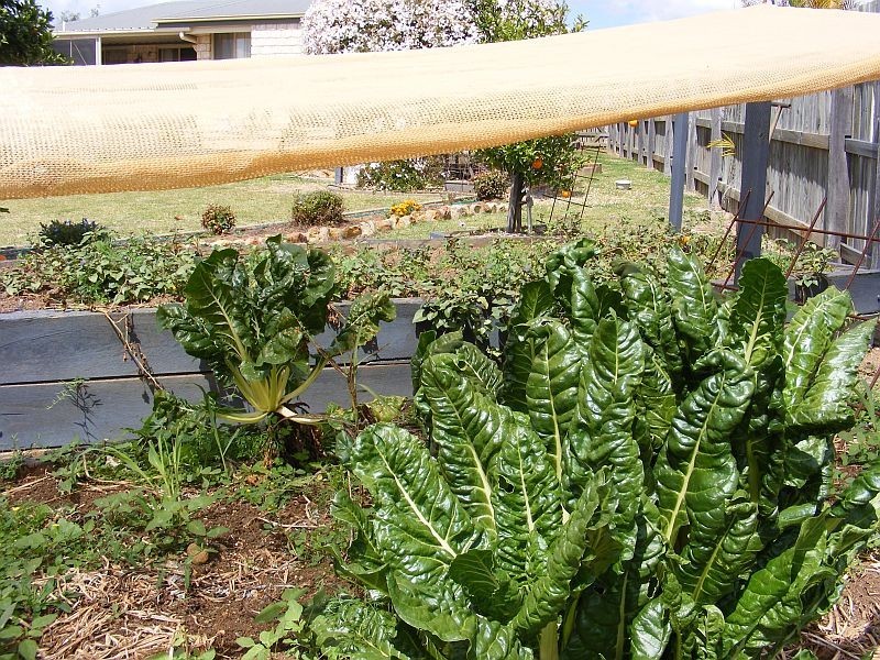 75 Grant Crescent, Wondai QLD 4606