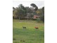 Ivanhoe East VIC 3079