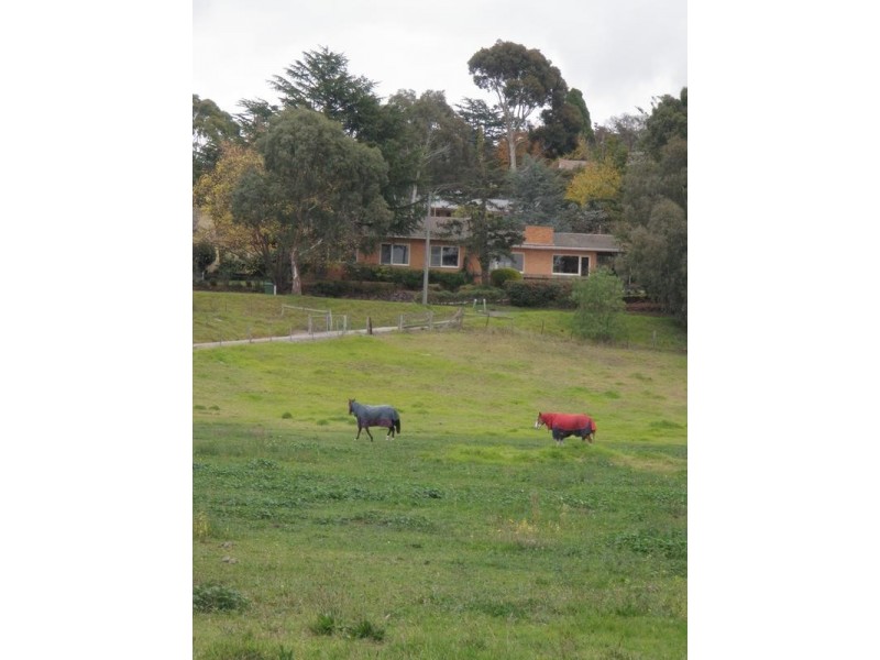 Ivanhoe East VIC 3079