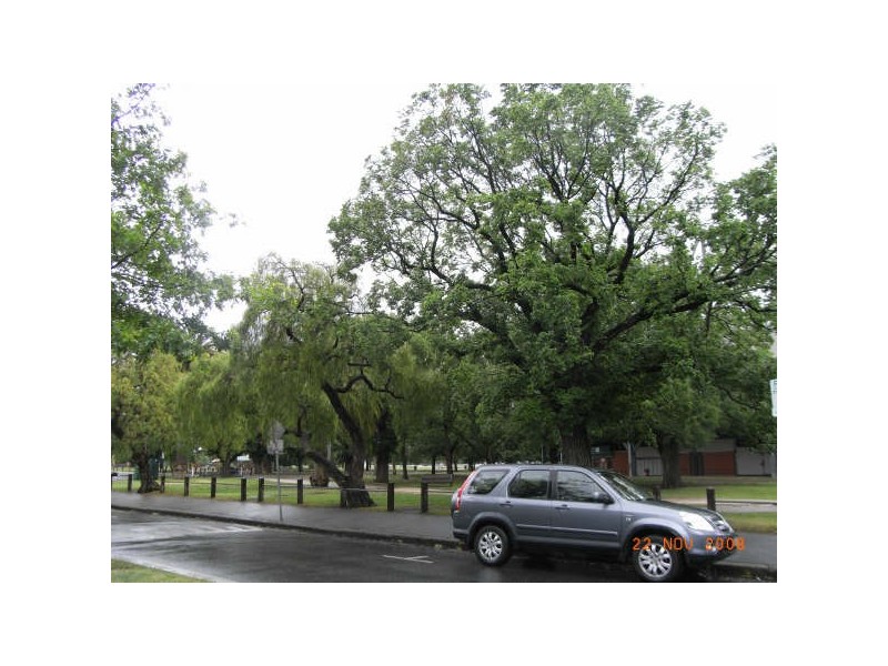 Carlton North VIC 3054