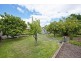 Alphington VIC 3078