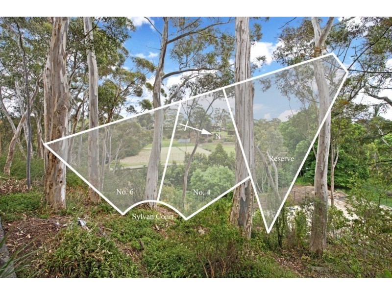 4 & 6 Sylvan Court, Ivanhoe VIC 3079