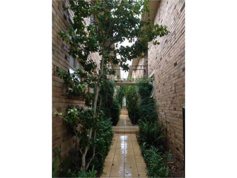 15/10 Ashby Grove, Ivanhoe VIC 3079