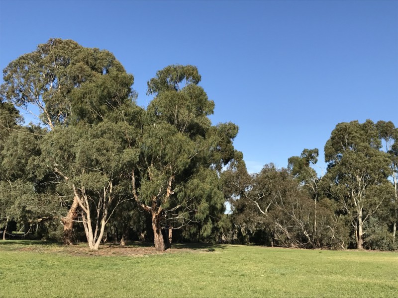 229 Liberty Parade, Heidelberg West VIC 3081