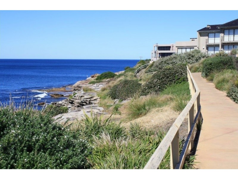 00 Wisdom Street, Coogee NSW 2034